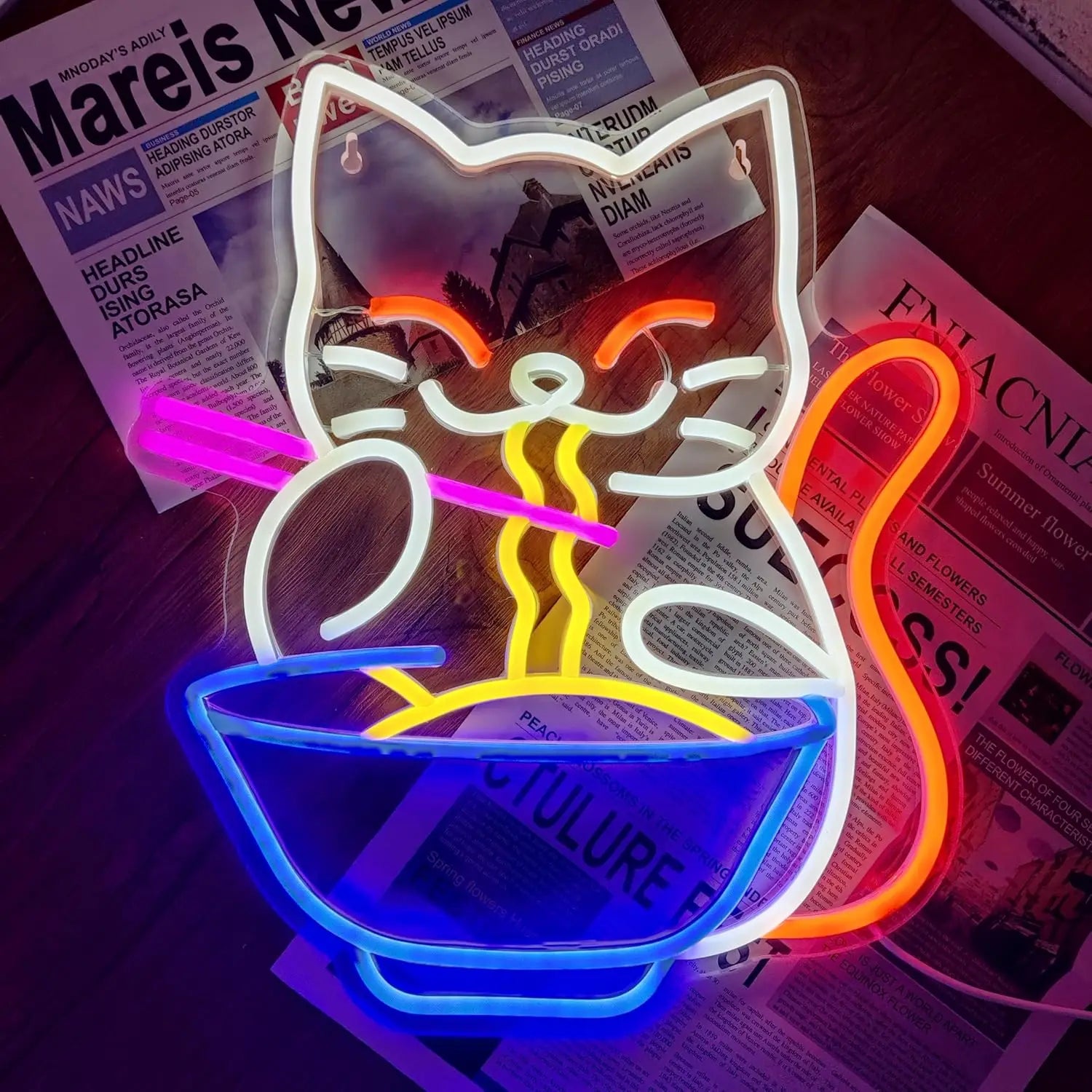 CAT RAMEN